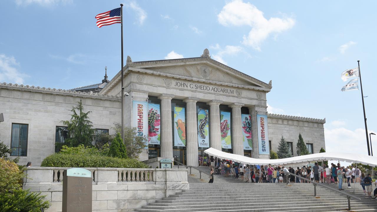 citypass芝加哥 谢德水族馆 gousa 美国国家旅游局