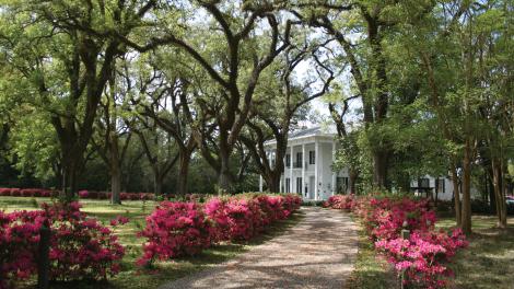 古老的莫比尔布拉格-米切尔之屋