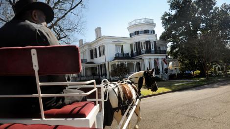 一辆轻便马车经过哥伦布其中一条历史街区上的豪宅门口