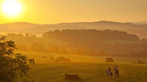 晨光在列克星敦弗吉尼亚马匹中心撒下温暖的辉芒