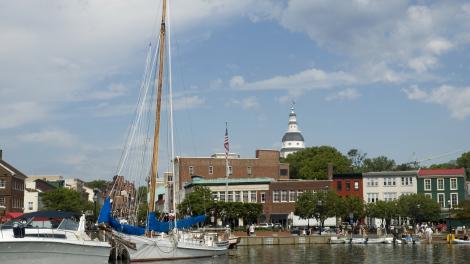 在市区海港,将美景尽收眼底 在市区海港,将美景尽收眼底