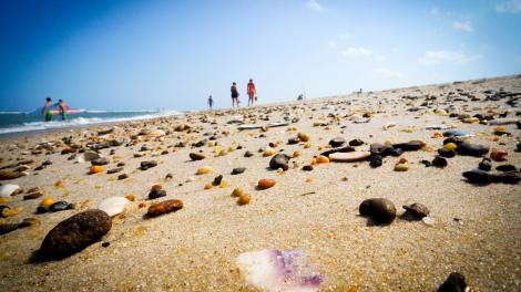 漫步在绵延的海滩上寻找美丽的贝壳和石子