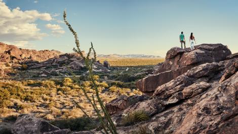 在威克水槽州立公园和历史遗址攀登巨石 在威克水槽州立公园和历史遗址攀登巨石
