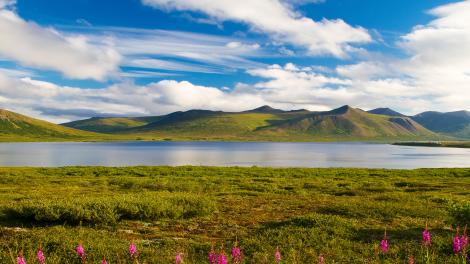 五彩缤纷的夏日山景