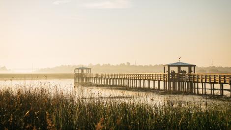 在德克萨斯州博蒙特的 Cattail Marsh Scenic Wetlands & Boardwalk 上观鸟 在德克萨斯州博蒙特的 Cattail Marsh Scenic Wetlands & Boardwalk 上观鸟