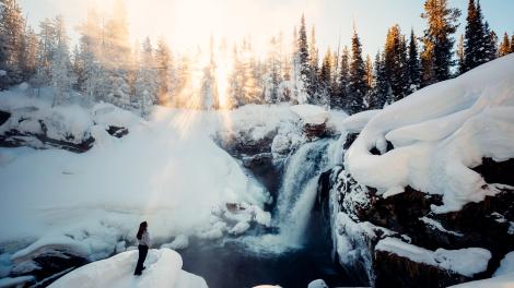 A snowy hike in Yellowstone National Park, Wyoming A snowy hike in Yellowstone National Park, Wyoming