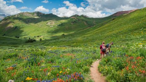 Hiking through wildflower fields in Aspen, Colorado. Hiking through wildflower fields in Aspen, Colorado.
