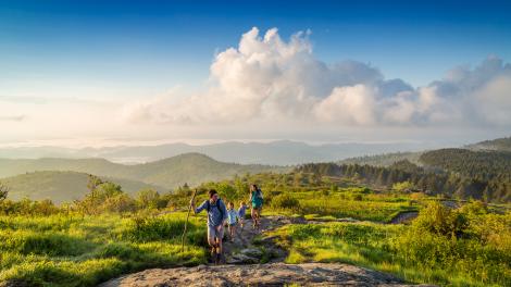 前往皮斯加国家森林的 Black Balsam Knob 山徒步旅行 前往皮斯加国家森林的 Black Balsam Knob 山徒步旅行