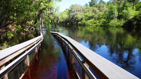 Ichetucknee River in Suwannee River Valley, Florida Ichetucknee River in Suwannee River Valley, Florida