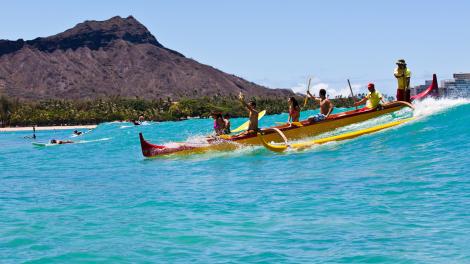 Dive into the action