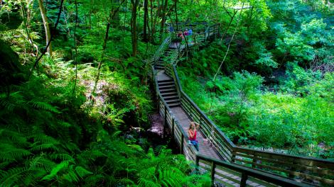 Stairs to Devil's Millhopper Geological State Park in Gainesville, Florida Stairs to Devil's Millhopper Geological State Park in Gainesville, Florida
