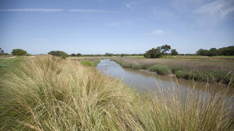 A waterway at Sea Island Golf Club in the Golden Isles, Georgia A waterway at Sea Island Golf Club in the Golden Isles, Georgia