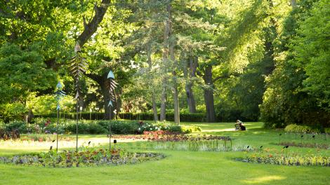 Fish sculptures at Dow Gardens in Midland, Michigan Fish sculptures at Dow Gardens in Midland, Michigan