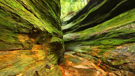 Parke County, Indiana: Discover the USA's Rural Heartland