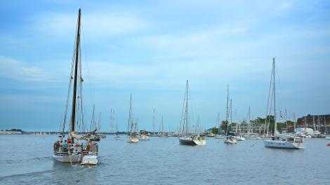 Sailboats on Chesapeake Bay, Annapolis