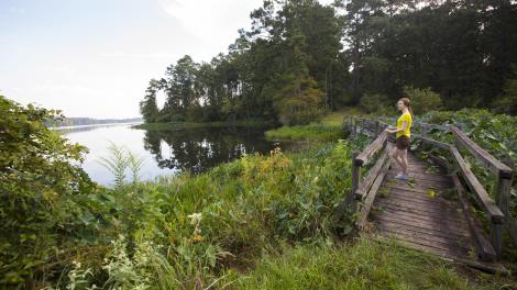 Hiking in Kisatchie National Forest in Alexandria, Louisiana 