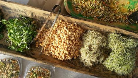 马场里的集市 马场里的集市