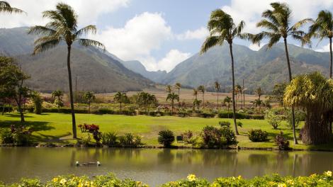 Maui landscape
