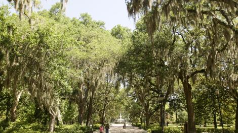 Forsyth Park in Savannah, Georgia Forsyth Park in Savannah, Georgia