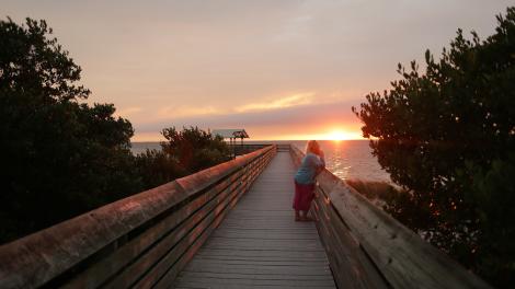 Texas Scarlet Colley Bird Sanctuary 