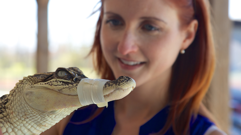 9 Travel Hacks for the International Visitor in Louisiana