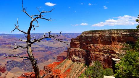 The Grand Canyon