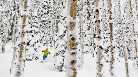 Ski vacation in Utah  Ski vacation in Utah