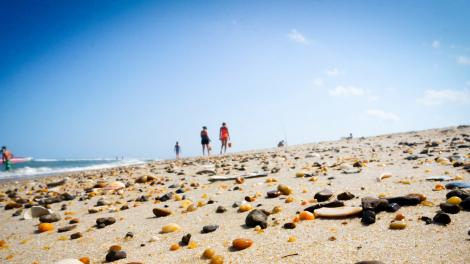 漫步在绵延的海滩上寻找美丽的贝壳和石子 漫步在绵延的海滩上寻找美丽的贝壳和石子