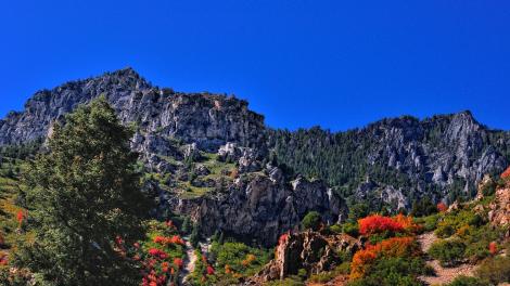 Vibrant colors and majestic mountains at the Timpanogos Cave National Monument Vibrant colors and majestic mountains at the Timpanogos Cave National Monument