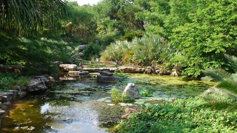 Isamu Taniguchi Japanese Garden in the Zilker Botanical Garden Isamu Taniguchi Japanese Garden in the Zilker Botanical Garden