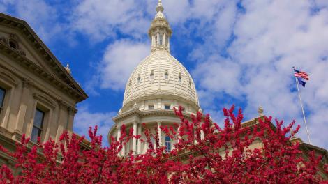 Flowers framing a view of the Michigan State Capitol building in Lansing Flowers framing a view of the Michigan State Capitol building in Lansing