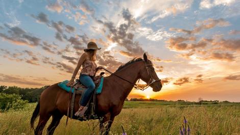 骑上马背,探索 Circle S 牧场 骑上马背,探索 Circle S 牧场