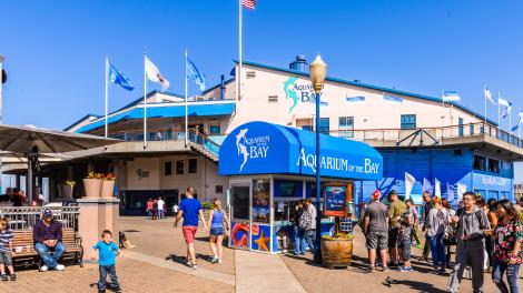 著名景点，在39号码头的旧金山海湾水族馆