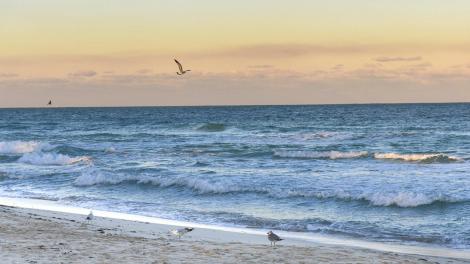 迈阿密海滩 迈阿密海滩