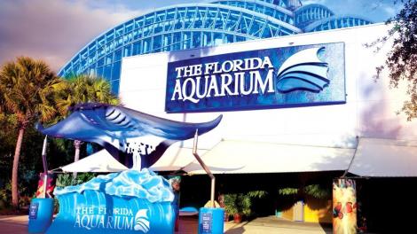 阳光下的佛罗里达水族馆 阳光下的佛罗里达水族馆