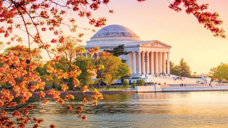 杰佛逊纪念堂的樱花