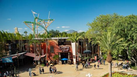 Overlooking Cheetah Hunt at Busch Gardens Tampa Bay, Florida