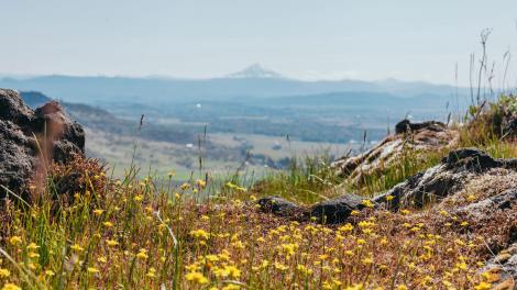 绚烂野花勾勒出俄勒冈州泰布尔罗克山美丽山景 绚烂野花勾勒出俄勒冈州泰布尔罗克山美丽山景