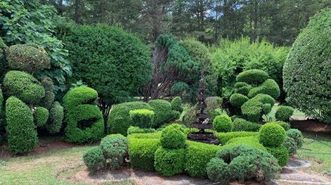 Pearl Fryar 绿色雕塑花园 Pearl Fryar 绿色雕塑花园