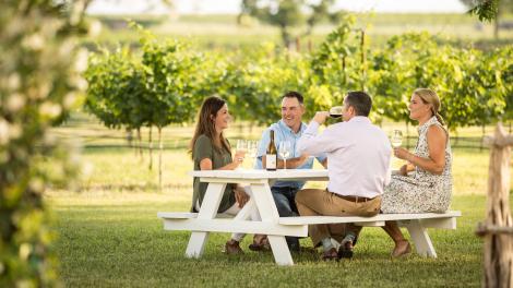在 Signor Vineyards 酒庄的葡萄园品酌美酒 在 Signor Vineyards 酒庄的葡萄园品酌美酒