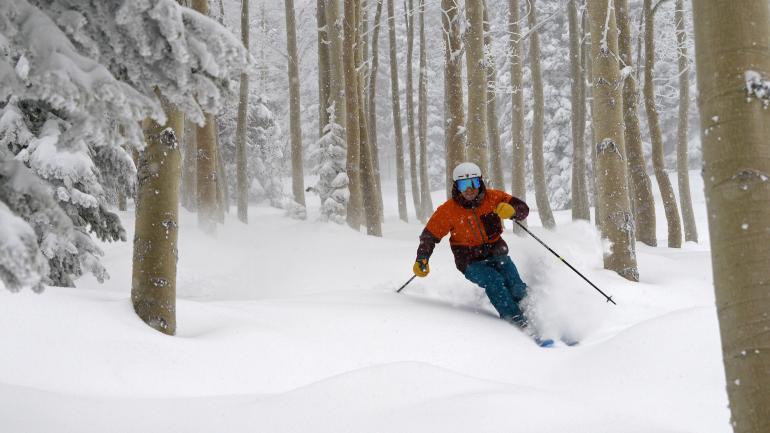 在新鲜粉雪上滑雪,穿过斯廷博特的山林 在新鲜粉雪上滑雪,穿过斯廷博特的山林