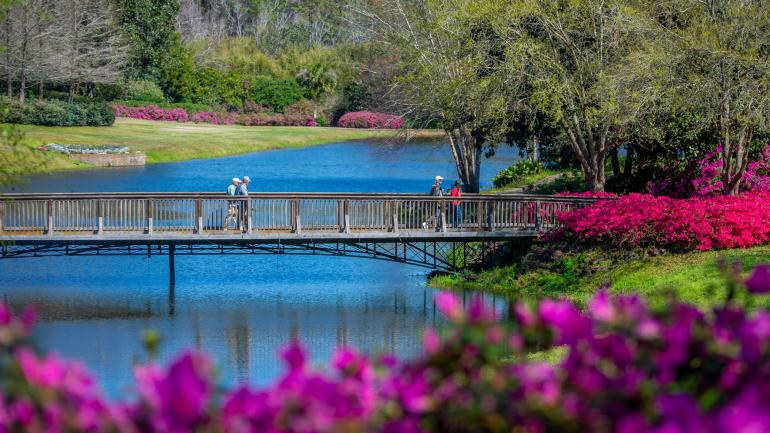 位于阿拉巴马州莫比尔的贝林格拉思庄园