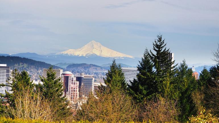 从华盛顿公园欣赏俄勒冈州波特兰和胡德山的风景