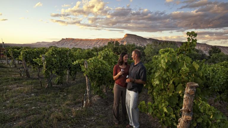 科罗拉多州大章克申风景如画,在此尽情品酌当地葡萄酒。 科罗拉多州大章克申风景如画,在此尽情品酌当地葡萄酒。