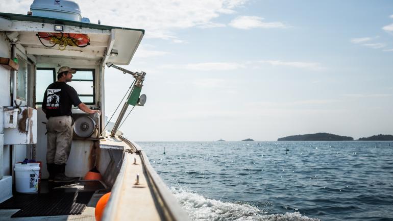 一代又一代缅因人去海中搜寻挤满龙虾的巢穴,捕捉这种甲壳类动物。参加虾船之旅,游客有机会帮助船员拉网,并给捕捞的龙虾分类。 一代又一代缅因人去海中搜寻挤满龙虾的巢穴,捕捉这种甲壳类动物。参加虾船之旅,游客有机会帮助船员拉网,并给捕捞的龙虾分类。