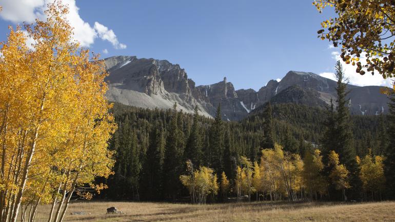内华达州大盆地国家公园
