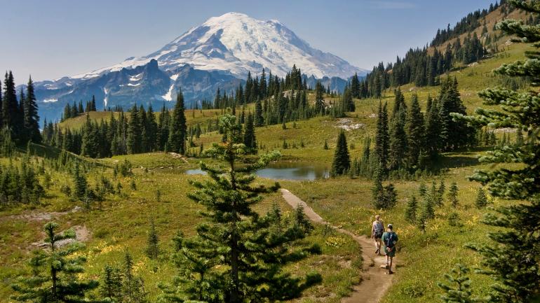 华盛顿州瑞尼尔山阴凉一侧的小径上进行徒步旅行的徒步爱好者 华盛顿州瑞尼尔山阴凉一侧的小径上进行徒步旅行的徒步爱好者