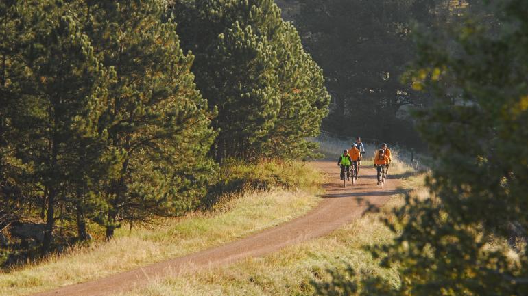 在蜿蜒盘旋的米克尔森小径上，您永远都不知道下一秒将会邂逅怎样令人惊叹的景色。