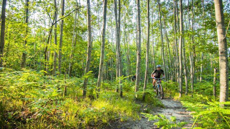 特拉弗斯城内外的小道让徒步爱好者、骑行爱好者和滑雪爱好者都能够领略多种多样的地形地貌以及优美的自然风光。 特拉弗斯城内外的小道让徒步爱好者、骑行爱好者和滑雪爱好者都能够领略多种多样的地形地貌以及优美的自然风光。