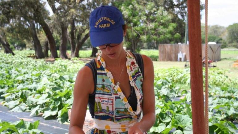 当地农民邀请美食冒险家参加节日盛会并亲自采摘水果。